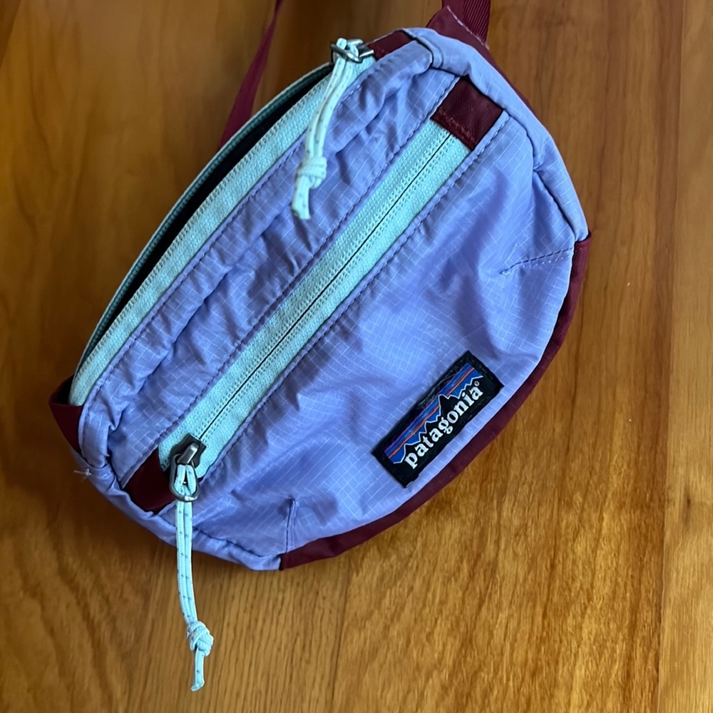 Patagonia belt bag